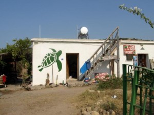 Turtle Project