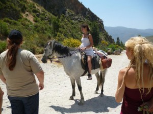 The horse rider