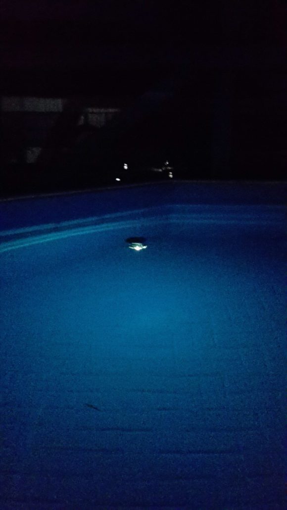 Solar LED Pool Licht in Aktion